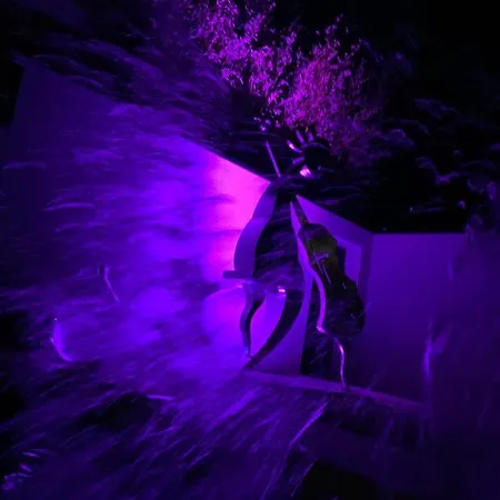 D'or Les Anges Oda ve Kahvaltı